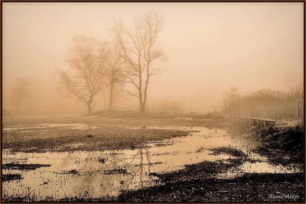 фото "***" метки: пейзаж, весна, закат