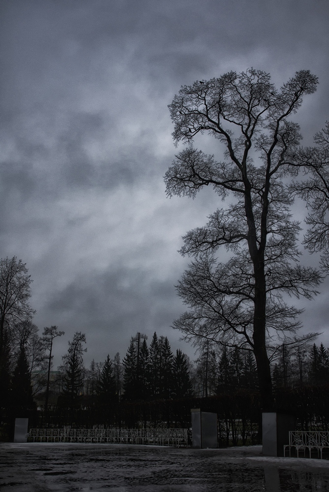 photo "***" tags: landscape, winter