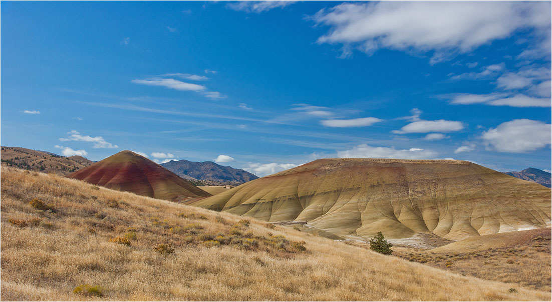 photo "Velvet and laces" tags: landscape, nature, 