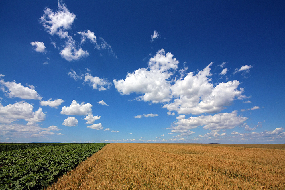 photo "Spring show" tags: landscape, clouds, field, sky, spring