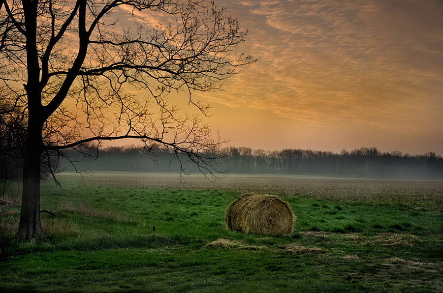 photo "***" tags: landscape, spring