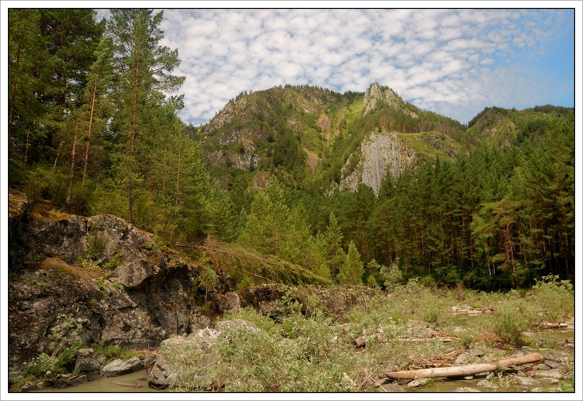 фото "Алтайская тайга" метки: пейзаж, горы, лес