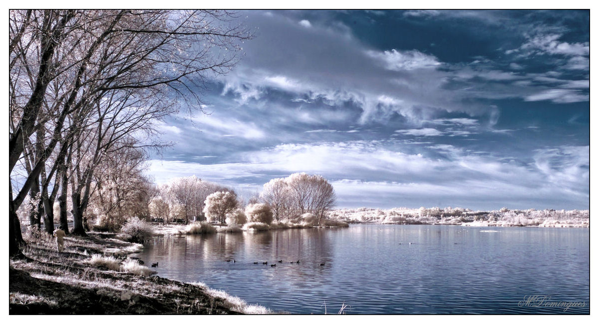 photo "Infrared" tags: landscape, water