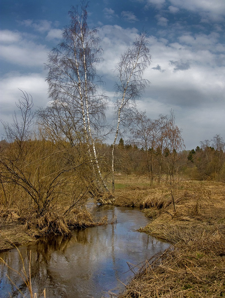 photo "Early Spring" tags: landscape, clouds, spring