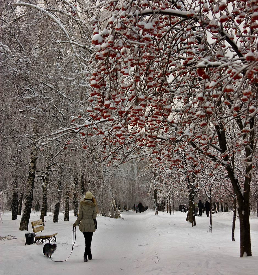 photo "The young lady with a dog" tags: landscape, genre, winter