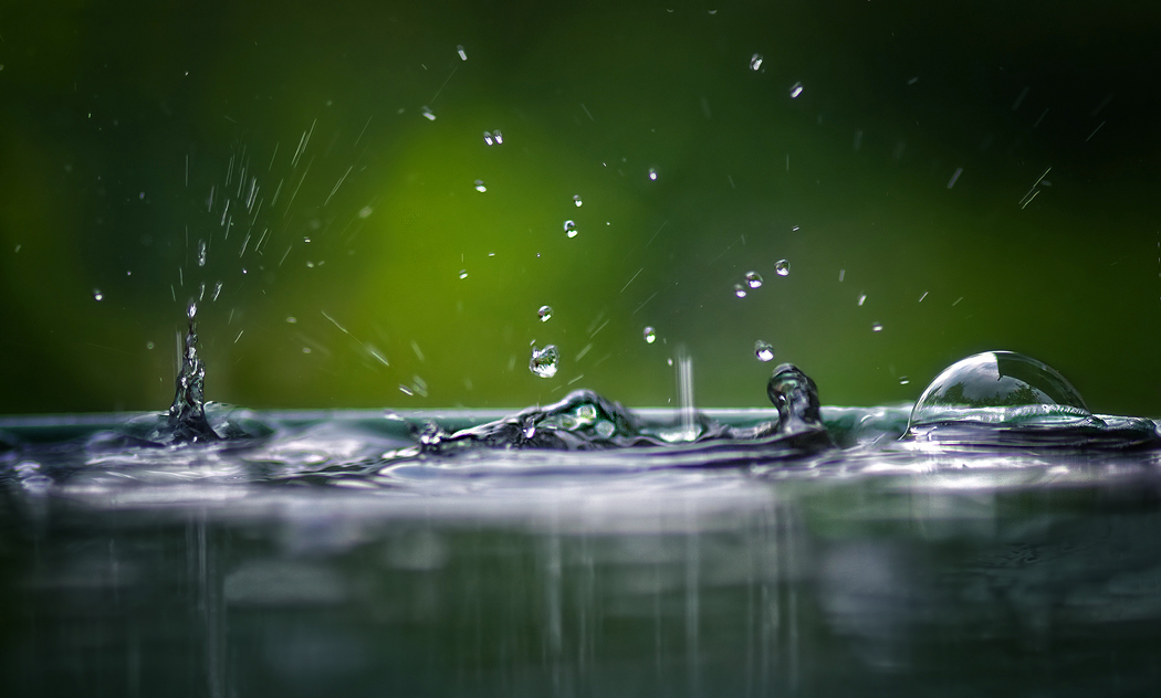 photo "Rain Dance" tags: macro and close-up, abstract, 