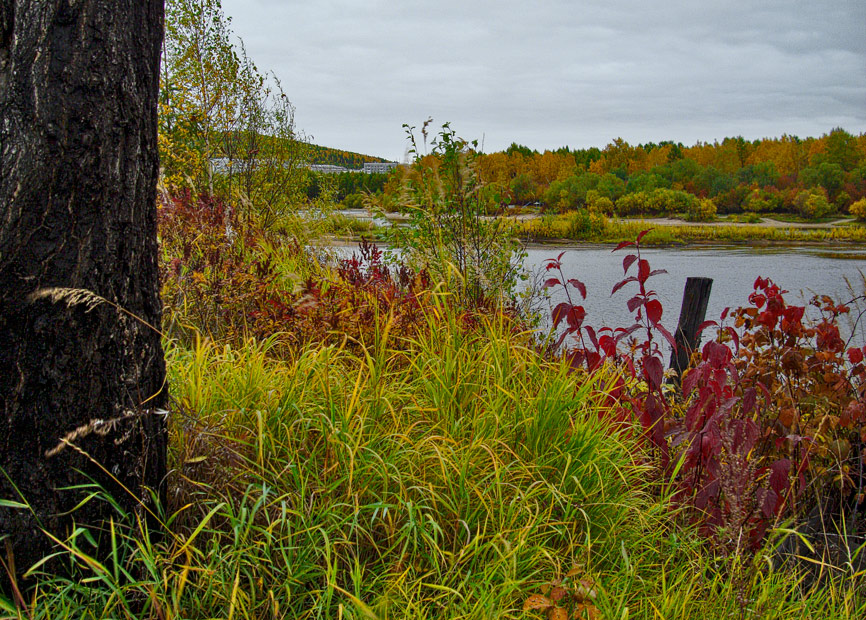 photo "***" tags: landscape, autumn, forest