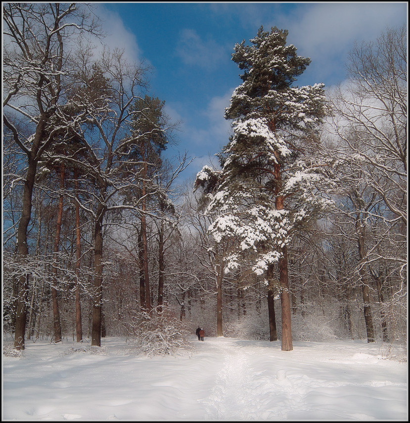 фото "На зимней прогулке" метки: пейзаж, зима