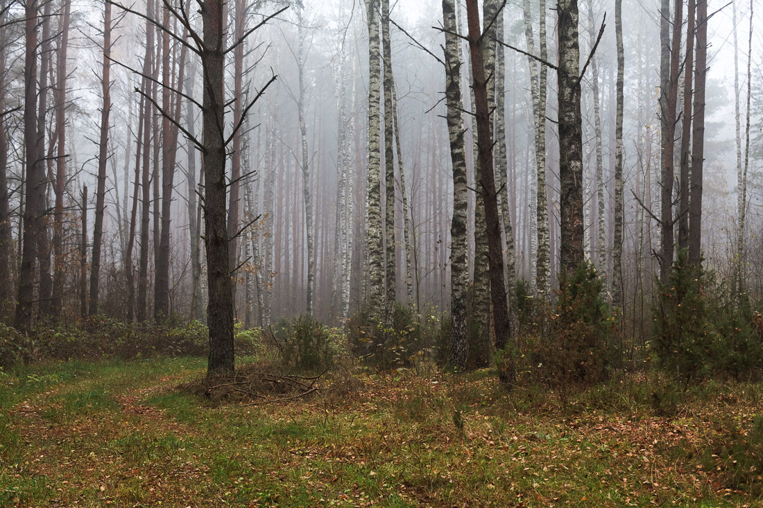 фото "." метки: пейзаж, 