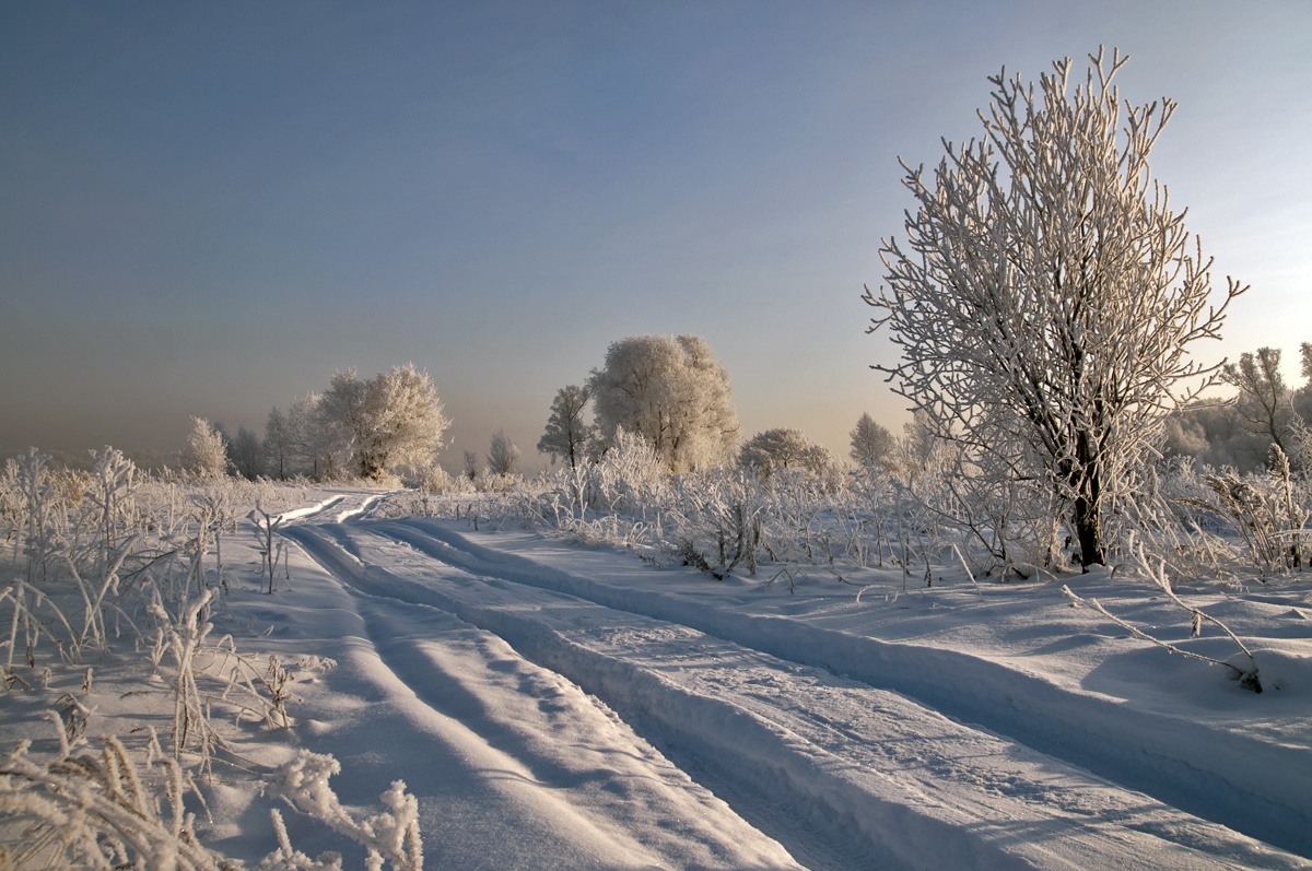 photo "The Roads of Russia" tags: landscape, forest, winter