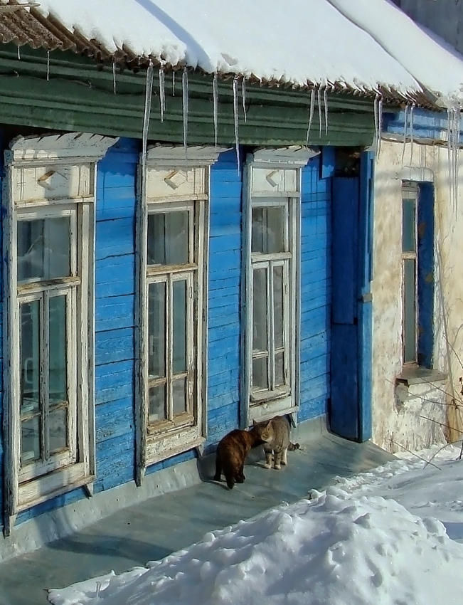 фото "..мартовские встречи.." метки: пейзаж, природа, весна, домашние животные