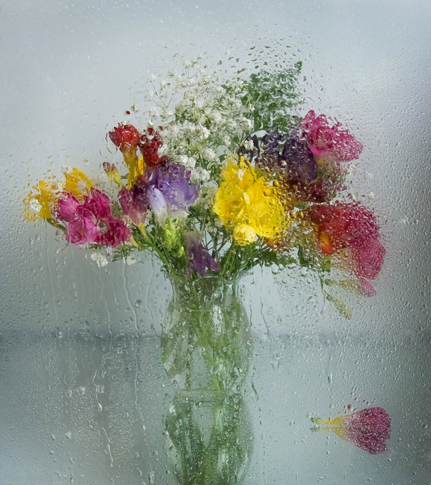 photo "Spring rain" tags: still life, 