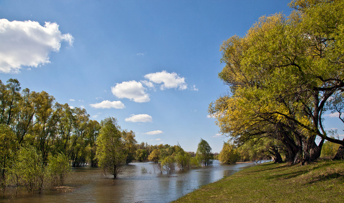 фото "***" метки: , 