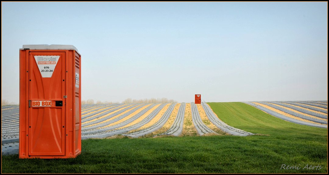 photo "wc in the field" tags: architecture, landscape, spring