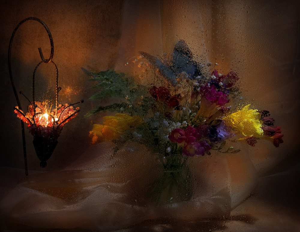 photo "Evening light" tags: still life, 
