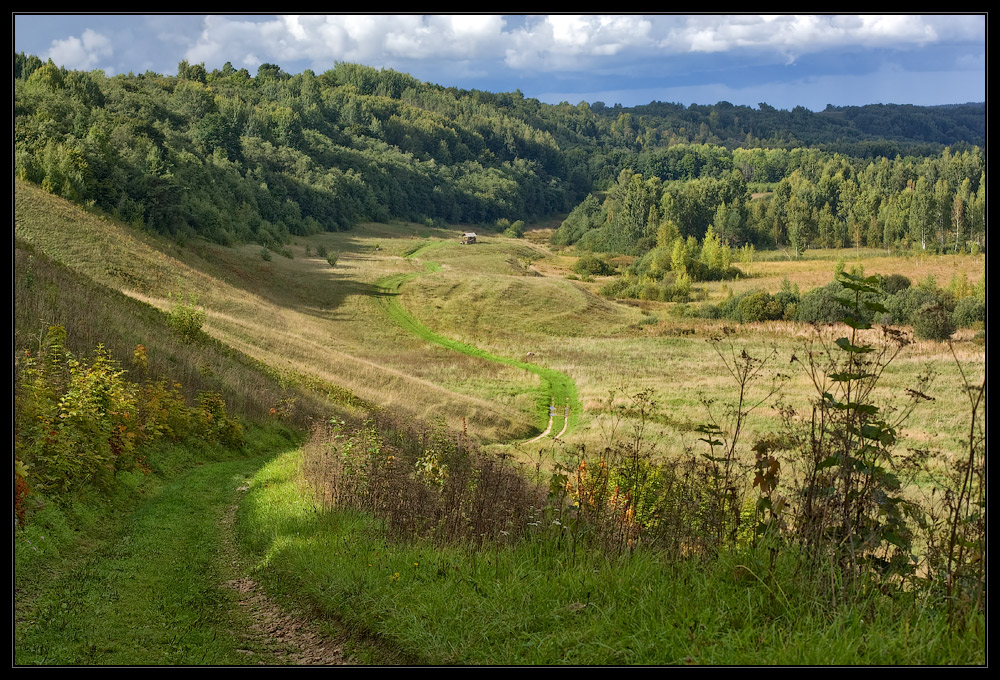 photo "***" tags: landscape, autumn, forest