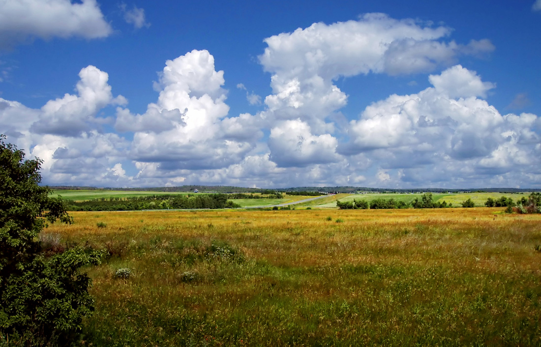 photo "*****" tags: landscape, summer