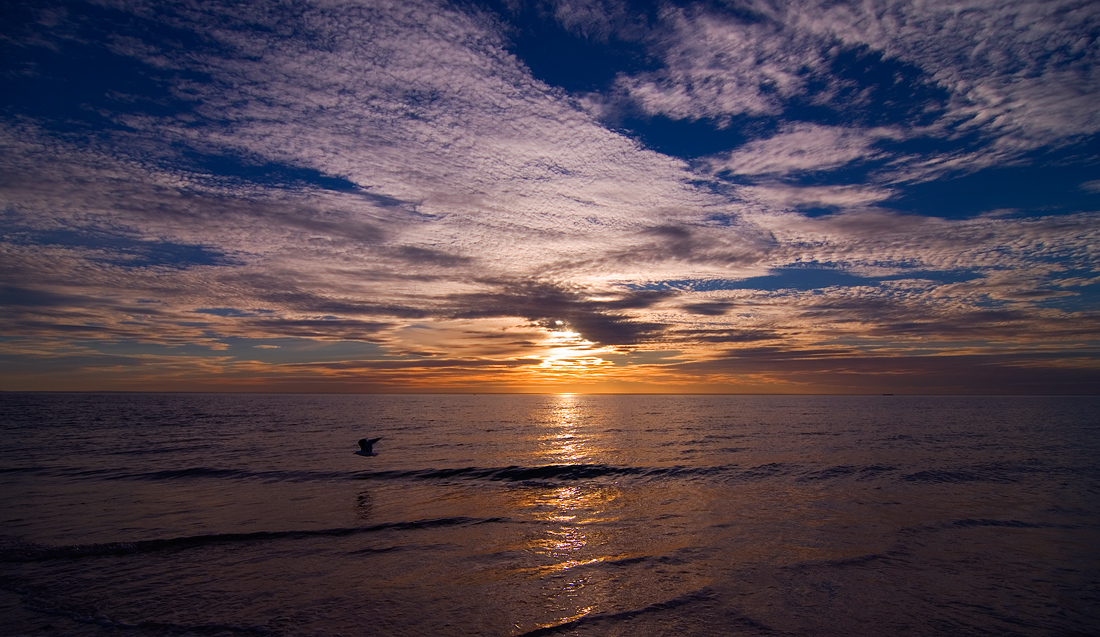 photo "Flying into the night" tags: landscape, sunset, water