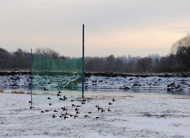 фото "Городской пляж зимой. Брянск. 2011г." метки: город, 