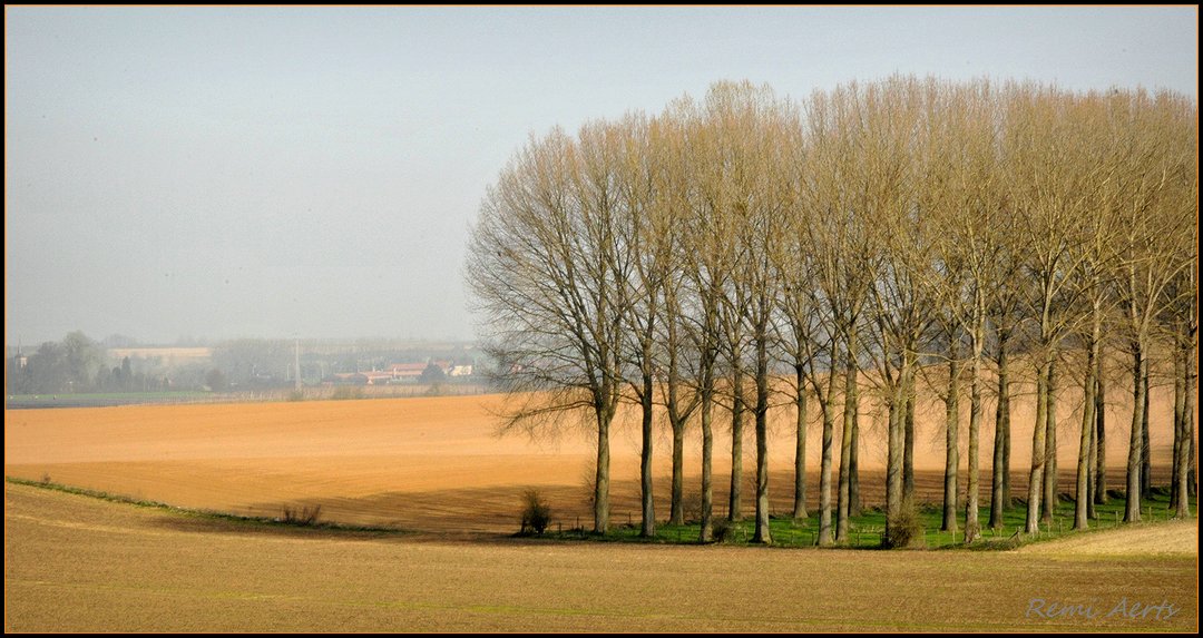 photo "***" tags: landscape, forest, spring