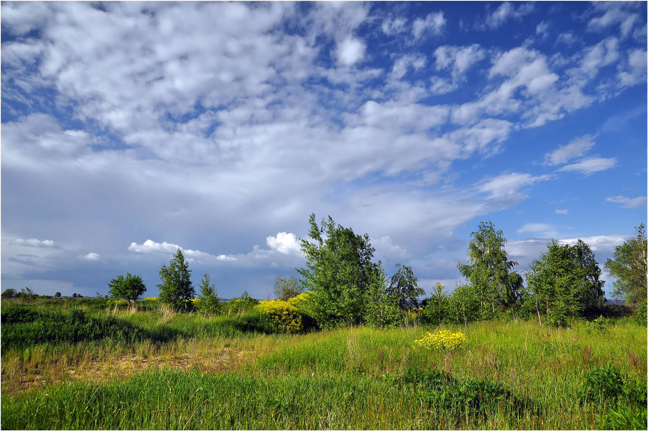 photo "***" tags: landscape, clouds, summer