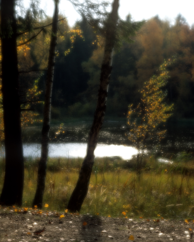 photo "***" tags: landscape, 