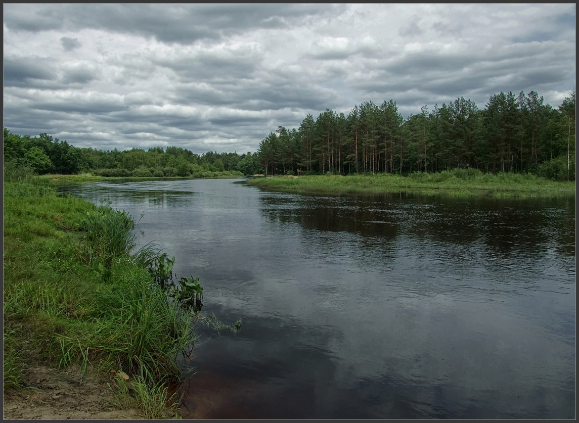 Река пасмурная. Река пасмурно. Река пра. Летняя река пасмурно. Пейзажи Рязанской области.