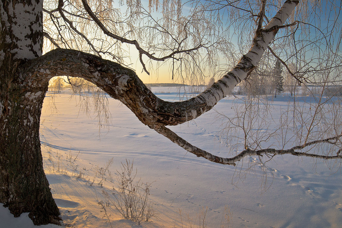 photo "***" tags: landscape, sunset, winter