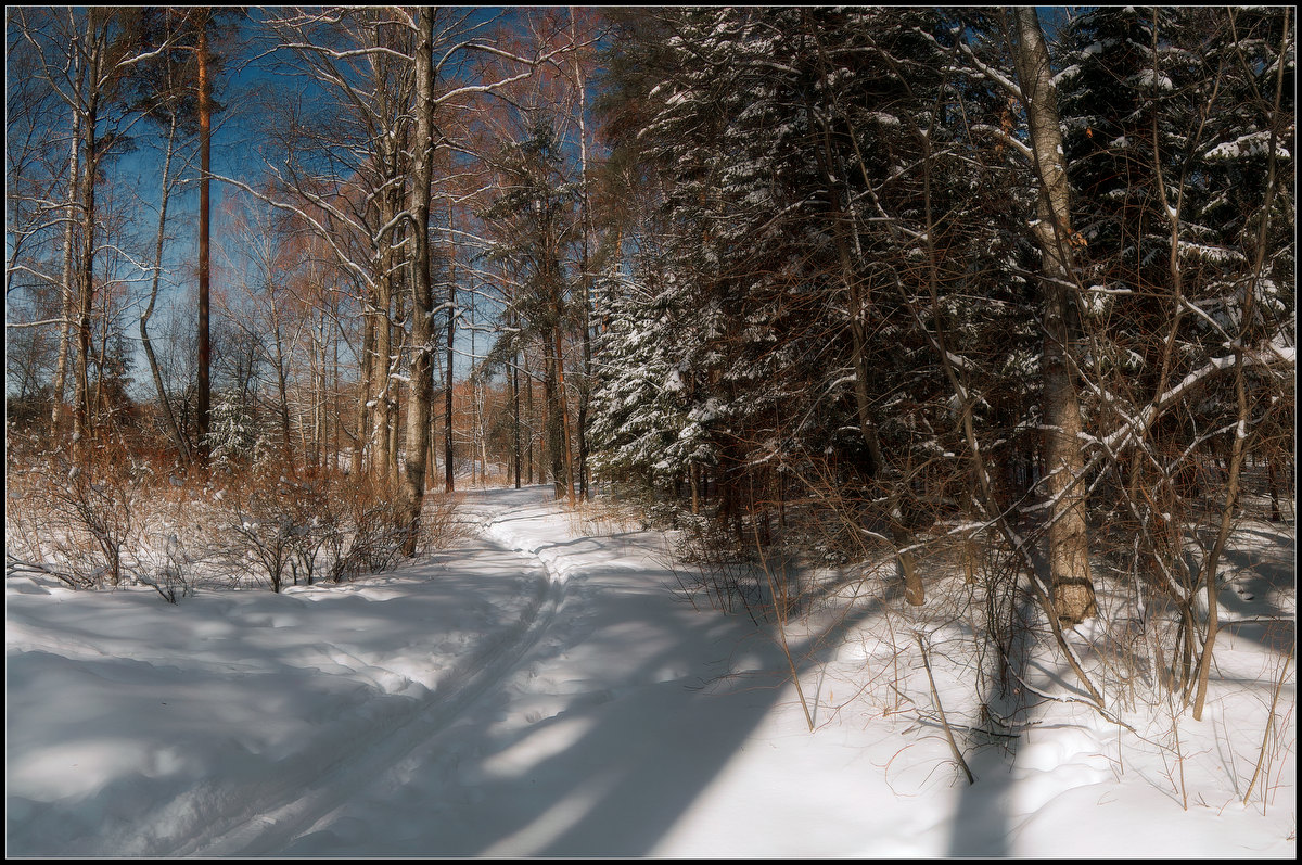 photo "***" tags: landscape, winter