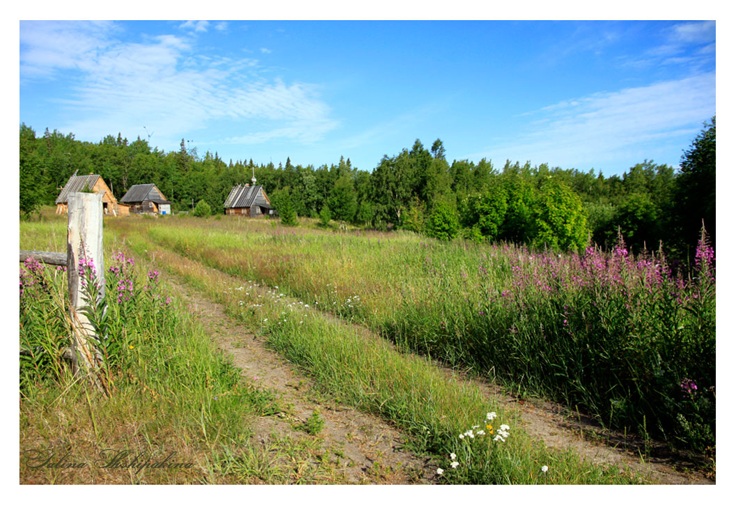 photo "***" tags: landscape, forest, summer