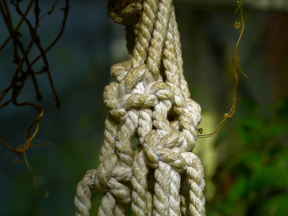 photo "***" tags: genre, 