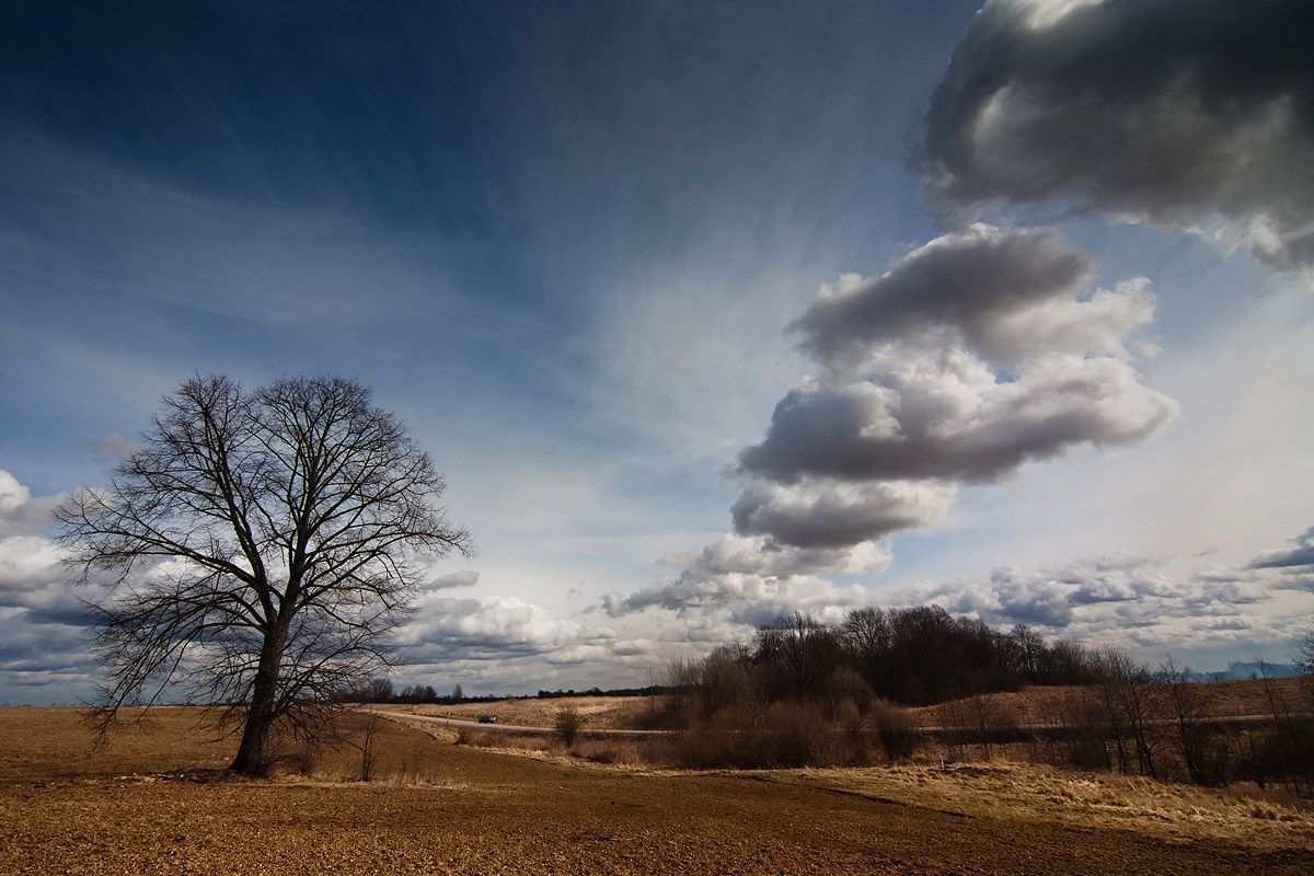 photo "***" tags: landscape, spring