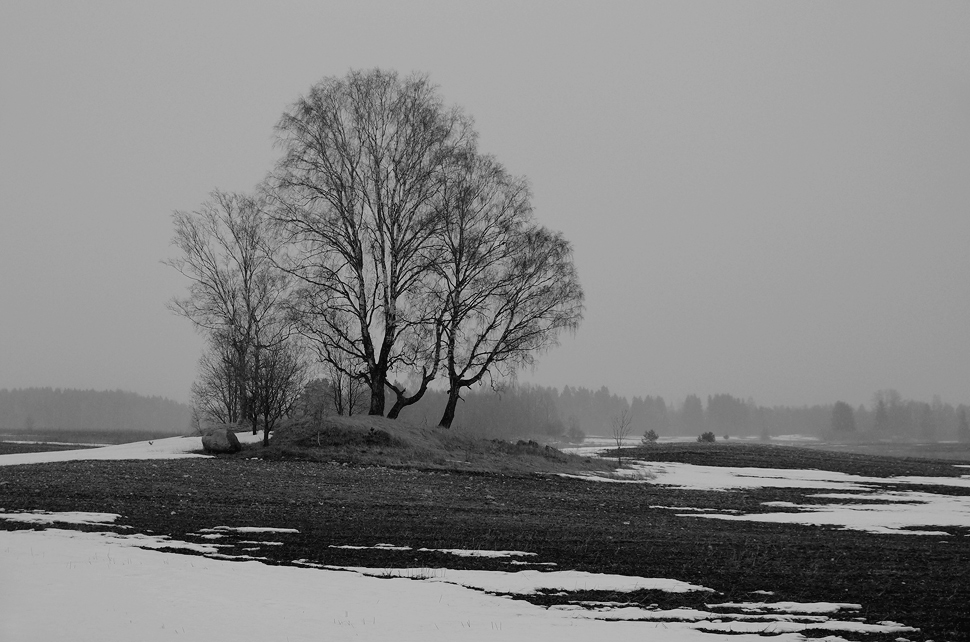 photo "***" tags: landscape, spring