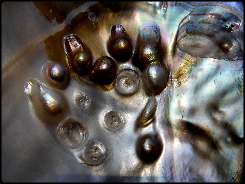 photo "mother of pearl" tags: macro and close-up, abstract, 