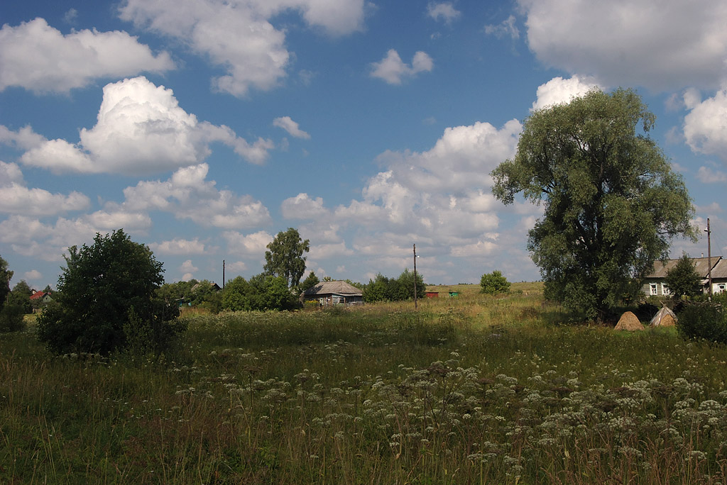 photo "***" tags: landscape, summer