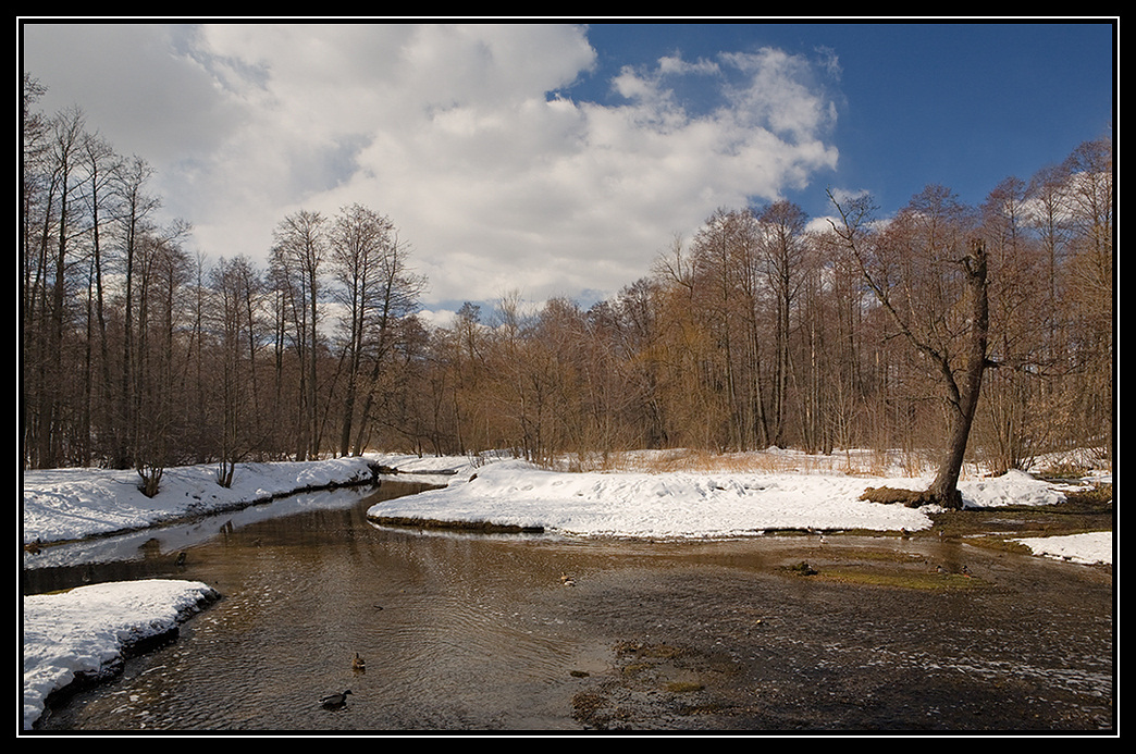 photo "On sault" tags: landscape, spring, water