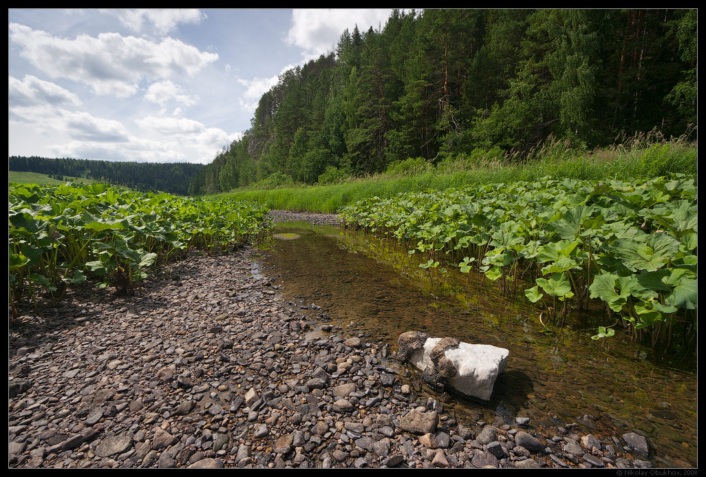 photo "Summer etude / 0184_0190" tags: landscape, river, summer