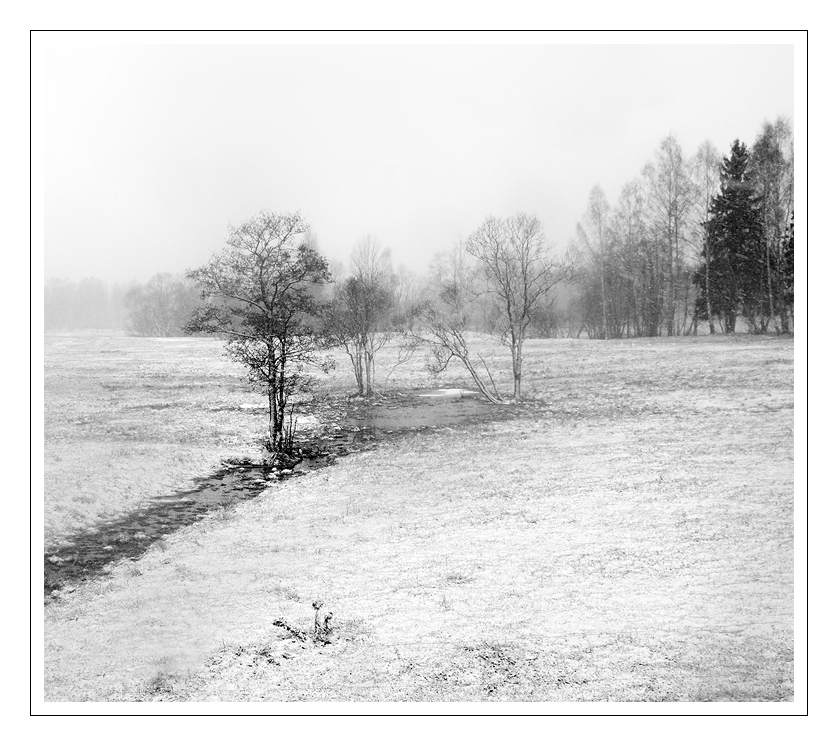photo "***" tags: landscape, spring