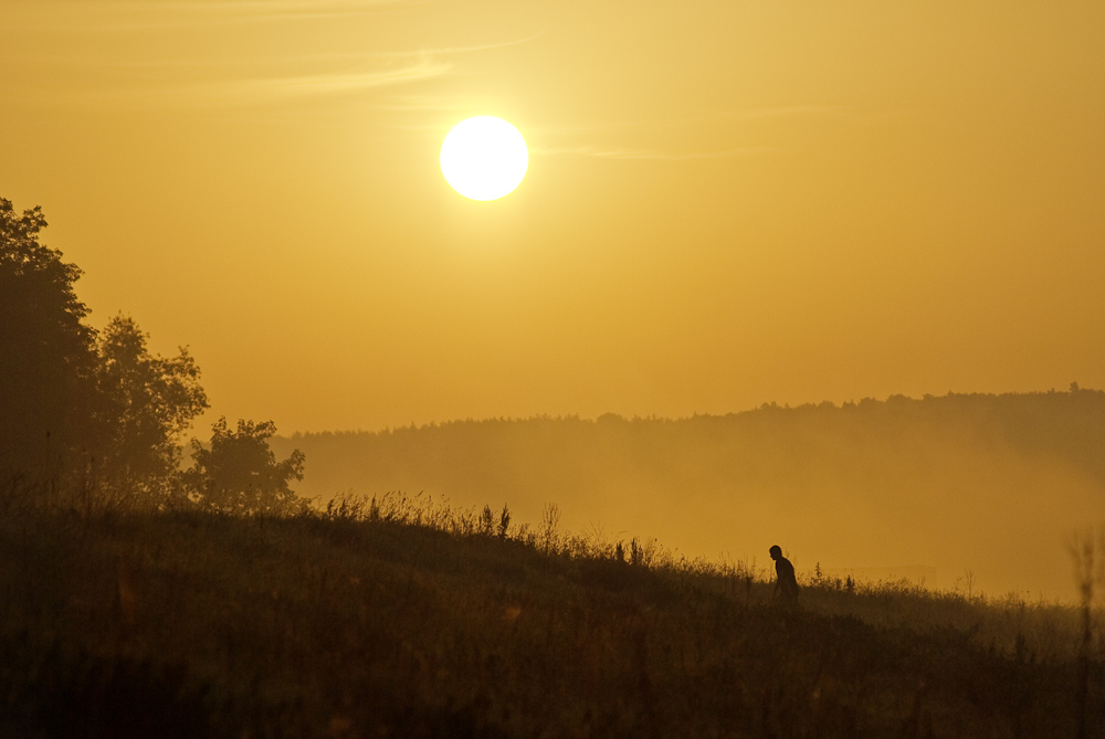 photo "***" tags: landscape, 