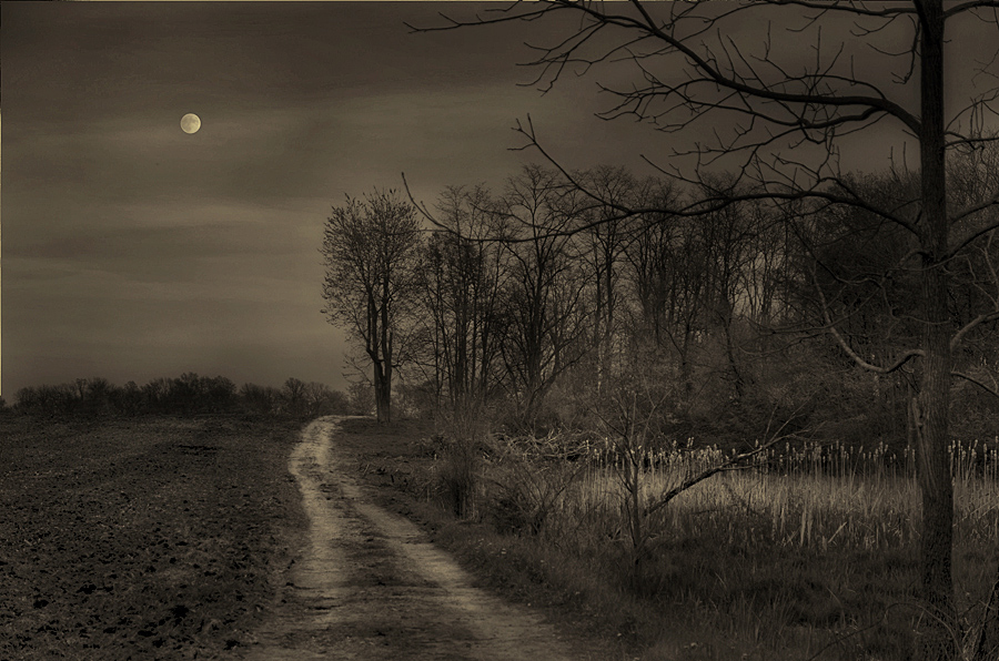 photo "Solitary Lane" tags: landscape, spring