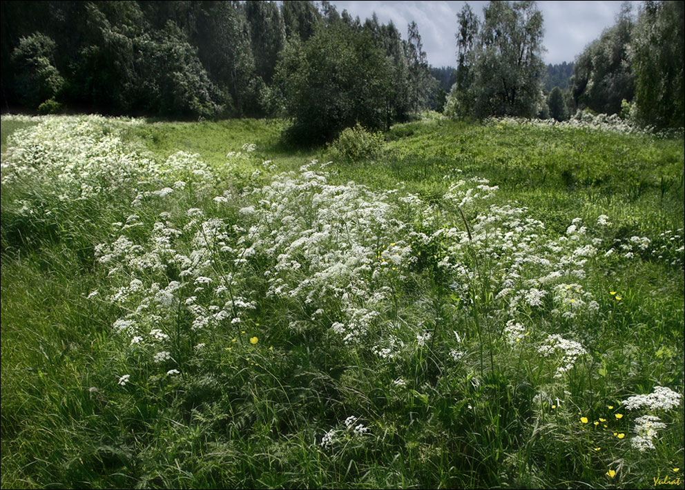 фото "***" метки: природа, пейзаж, 