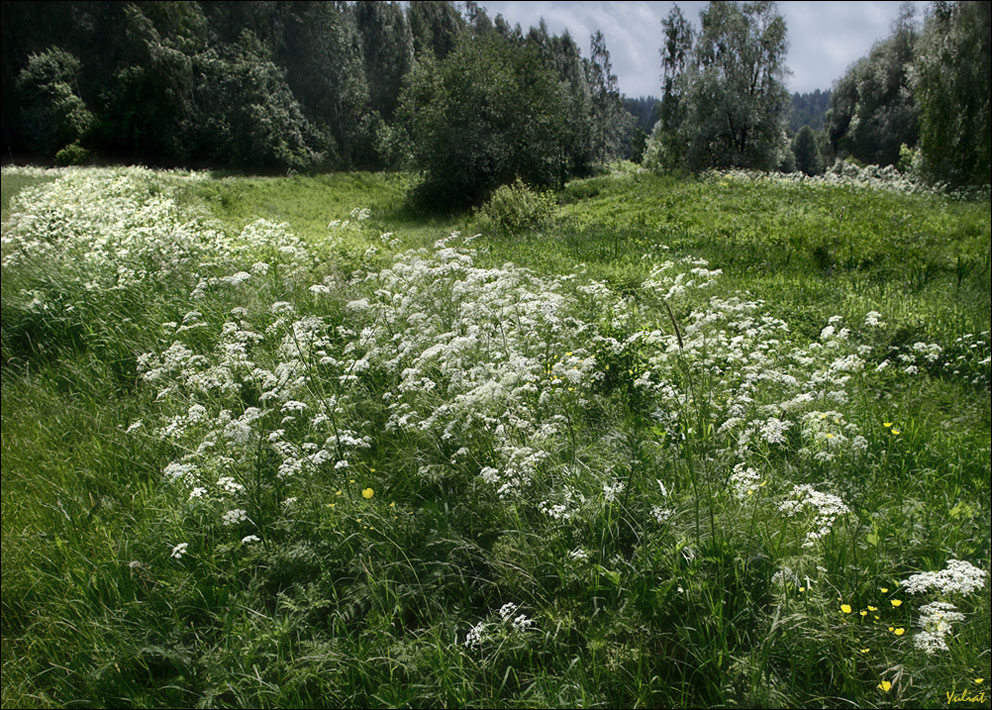 photo "***" tags: nature, landscape, 