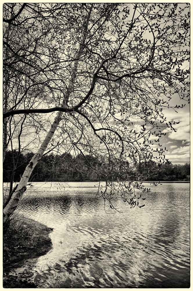 photo "Early spring" tags: landscape, spring, water