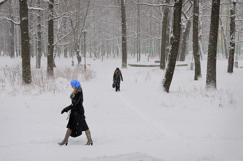 фото "*** ( Городской парк зимой)" метки: город, 