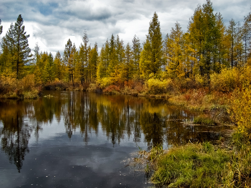 photo "***" tags: landscape, autumn, forest