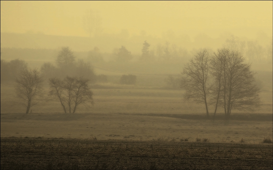 photo "***" tags: landscape, forest