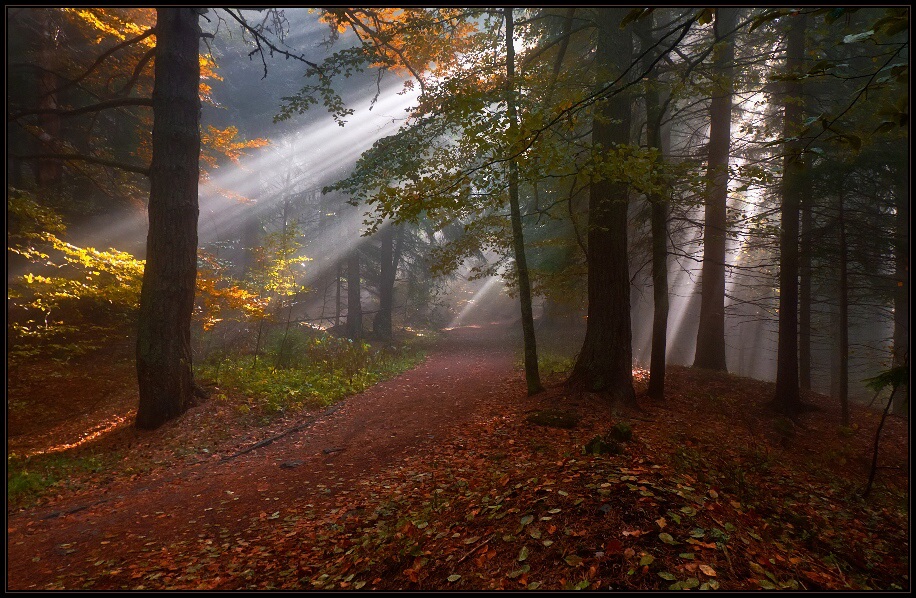 photo "***" tags: landscape, autumn