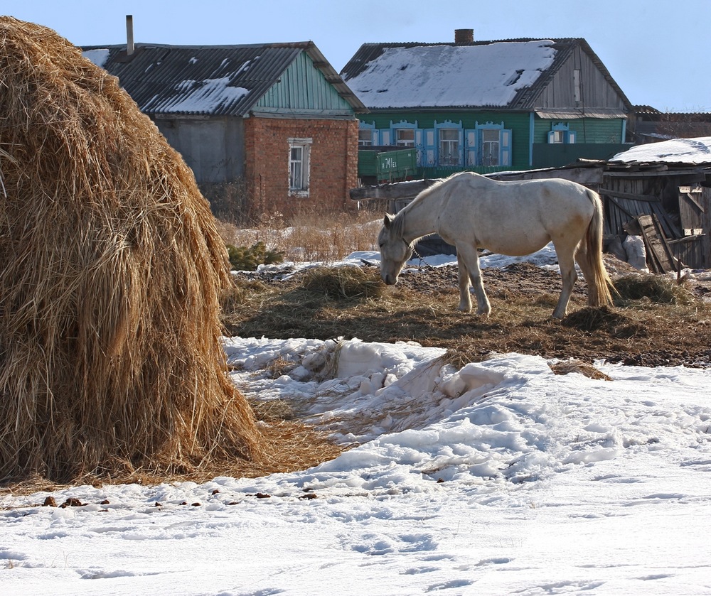 фото "За двором" метки: пейзаж, 
