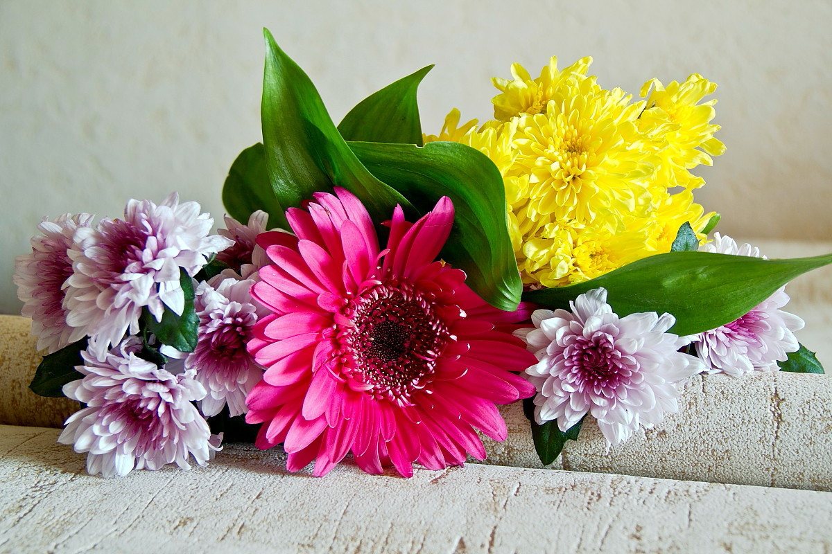 photo "A bouquet of flowers." tags: still life, nature, flowers