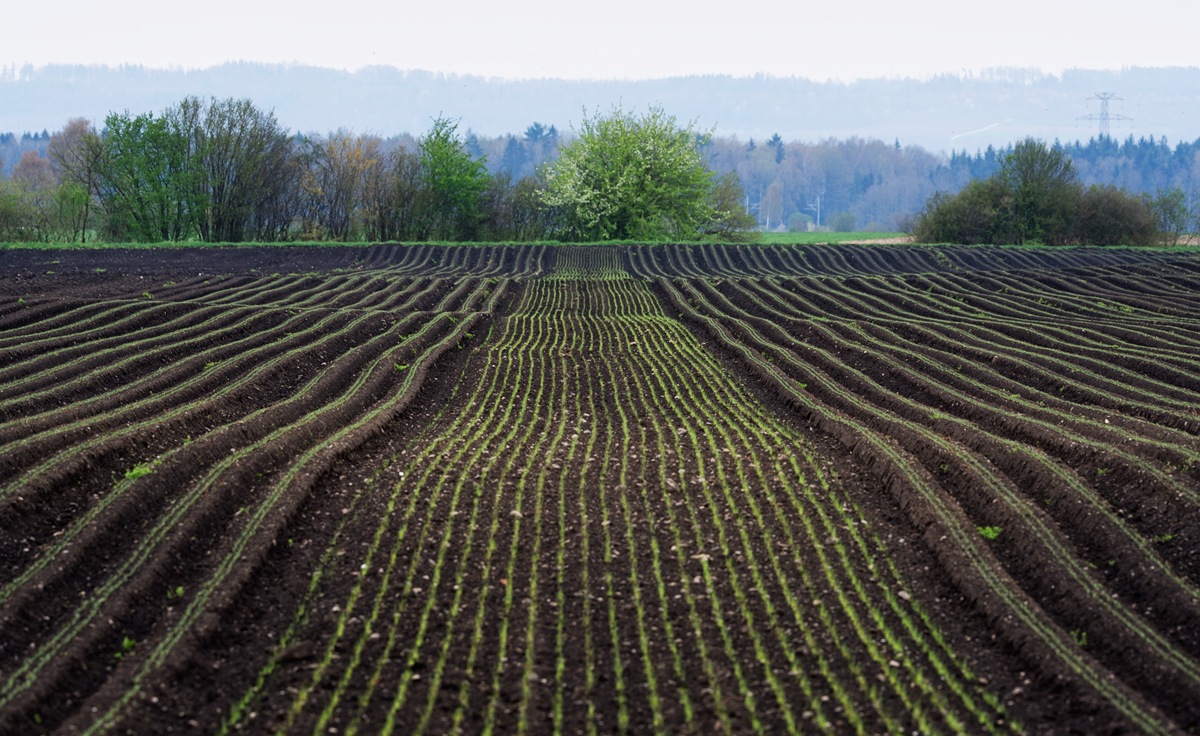 photo "Земля" tags: landscape, spring